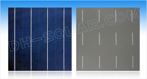 6 inch Poly Solar Cells with 4 Bus Bars